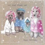 Fancy Pants Greeting Card with Gems – Get Your Freak On! Happy Birthday