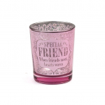 Special Friend