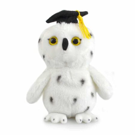 Lil Friends Graduation Owl 15cm