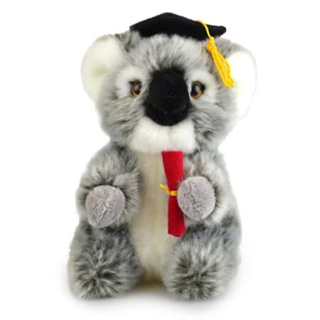 Lil Friends Graduation Koala 18cm