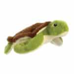 Eco Nation Turtle
