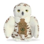 Eco Nation Snowy Owl
