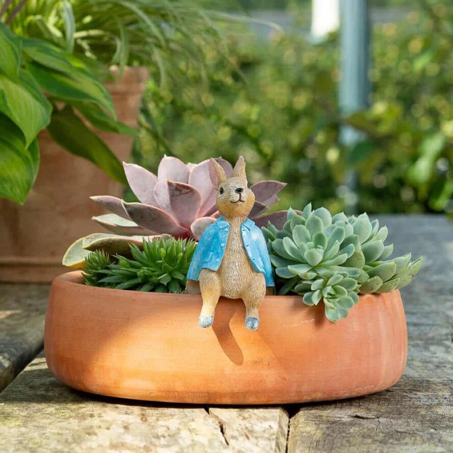 Pot Buddies: Beatrix Potter Peter Rabbit Sitting on Pot