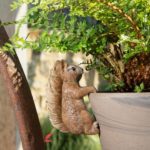Pot Buddies: Beatrix Potter Squirrel Nutkin