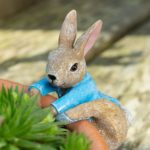 Pot Buddies: Beatrix Potter Peter Rabbit Climbing in to Pot