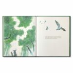 Illustrated Children’s Book: Noticing