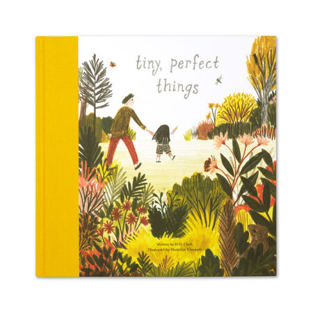 Illustrated Children's Book: Tiny Perfect Things