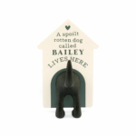 Personalised Dog Lead Hook Bailey