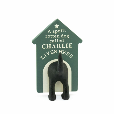 Personalised Dog Lead Hook Charlie