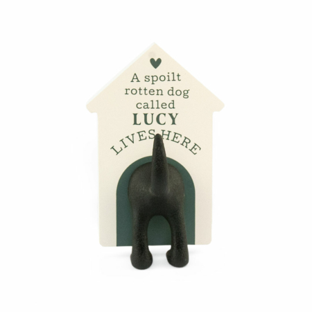 Personalised Dog Lead Hook Lucy