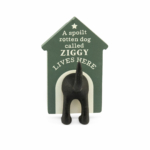 Personalised Dog Lead Hook Ziggy