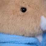 Beatrix Potter Petter Rabbit Classic Soft Toy 25cm